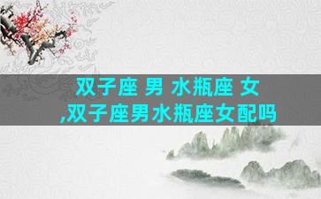 双子座 男 水瓶座 女,双子座男水瓶座女配吗
